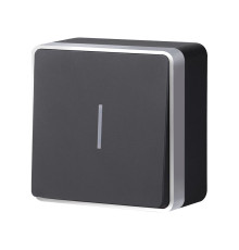 Выключатель одноклавишный с подсветкой Gallant черный с серебром W5010134 W5010134