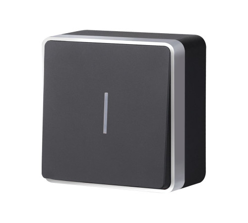 Выключатель одноклавишный с подсветкой Gallant черный с серебром W5010134 W5010134