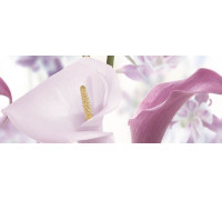 Панно Ceradim Sano A 20х50 см КПН17SanoA