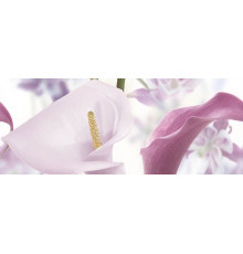 Панно Ceradim Sano A 20х50 см КПН17SanoA