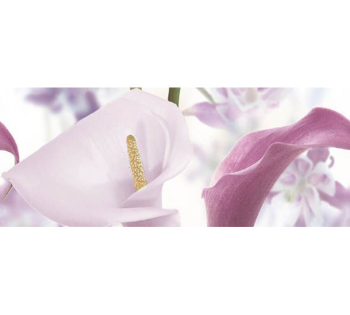 Панно Ceradim Sano A 20х50 см КПН17SanoA