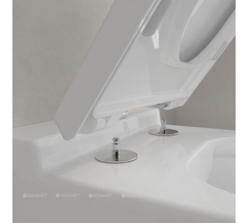 Унитаз подвесной Villeroy & Boch Finion CeramicPlus 375x560 мм без сиденья 4664R0R1