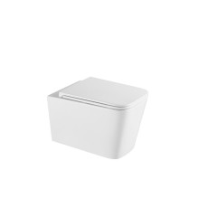 Унитаз подвесной Aquame AQM2015PRO с сиденьем SoftClose 530х365 мм AQM2015PRO