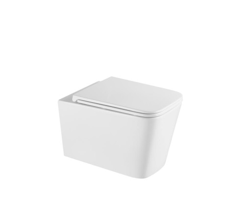 Унитаз подвесной Aquame AQM2015PRO с сиденьем SoftClose 530х365 мм AQM2015PRO