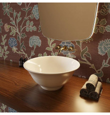 Раковина накладная TW 46 см без перелива белый глянцевый TWCL2103BL