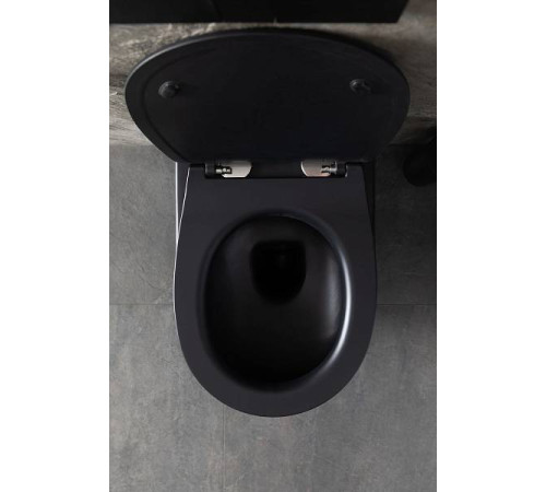 Чаша подвесного унитаза Allen Brau Reality черный 4.32006.31