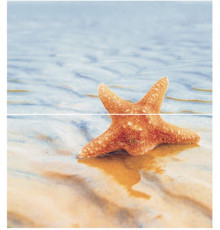 Панно Ceradim Starfish 1 из 2-х шт 50х45 см КПН16Starfish1