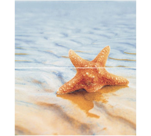 Панно Ceradim Starfish 1 из 2-х шт 50х45 см КПН16Starfish1