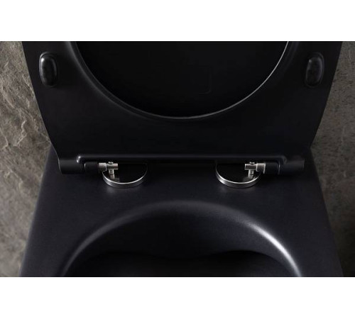 Чаша подвесного унитаза Allen Brau Reality черный 4.32006.31