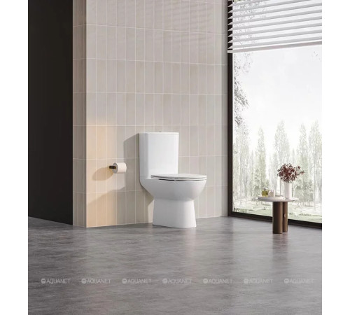 Унитаз напольный Jacob Delafon Stil безободковый с тонким сиденьем E38566-00