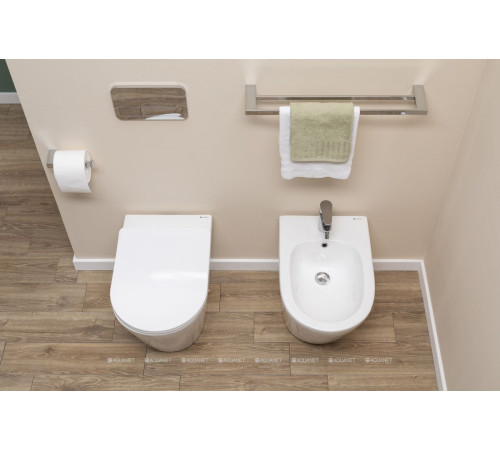 Держатель для полотенец Aquanet 5624D двухрядный 60 см хром 5624D