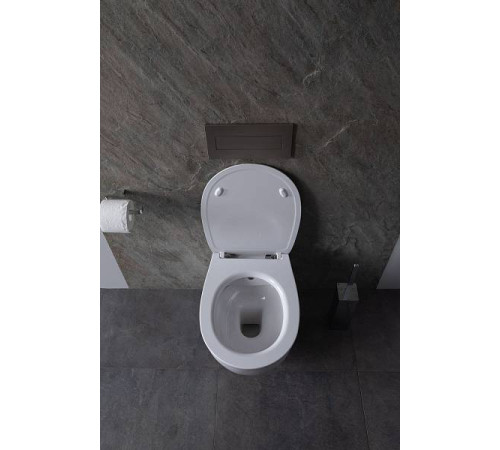 Унитаз подвесной безободковый Allen Brau Fantasy с гигиеническим душем 51x36.3 см 4.11HC1.20