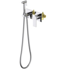 Комплект для гигиенического душа Aquanet Лира встроенный 2 отверстия хром AQ1420CR