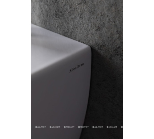 Биде подвесное Allen Brau LIBERTY 500x360 мм белый 4.33005.20