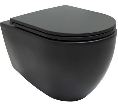 Чаша подвесного унитаза Allen Brau Reality черный 4.32006.31