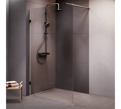 Душевая перегородка AM.PM Walk In 120х195 см W94UWI-120-F1-BTE