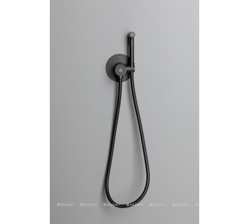 Смеситель с гигиеническим душем Allen Brau Liberty Push key черный матовый 5.33005-31