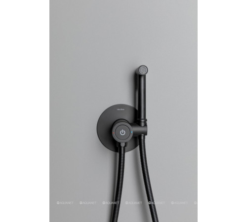 Смеситель с гигиеническим душем Allen Brau Liberty Push key черный матовый 5.33005-31
