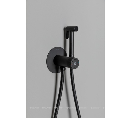 Смеситель с гигиеническим душем Allen Brau Liberty Push key черный матовый 5.33005-31