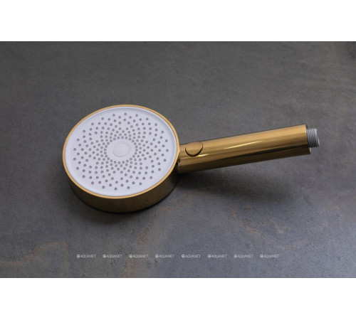 Ручной душ Allen Brau Priority 3.0 130 мм 3 режима золото браш 5.31B20-GB