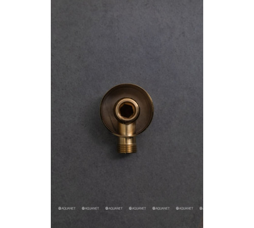 Водорозетка Allen Brau Priority 1/2 латунь золото 5.31A15-GB