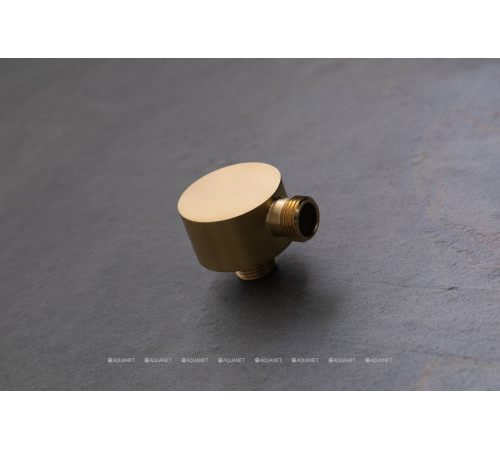 Водорозетка Allen Brau Priority 1/2 латунь золото 5.31A15-GB