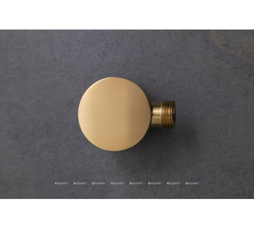 Водорозетка Allen Brau Priority 1/2 латунь золото 5.31A15-GB