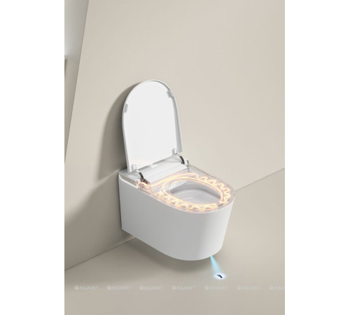 Унитаз электронный Allen Brau INTELLIGENT SMART подвесной с биде 588х375 мм 4.I1001.20