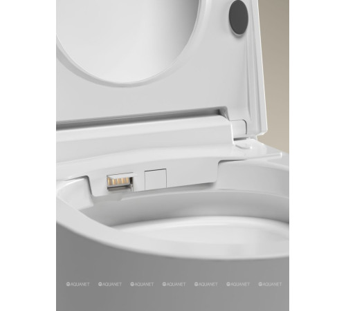 Унитаз электронный Allen Brau INTELLIGENT SMART подвесной с биде 588х375 мм 4.I1001.20