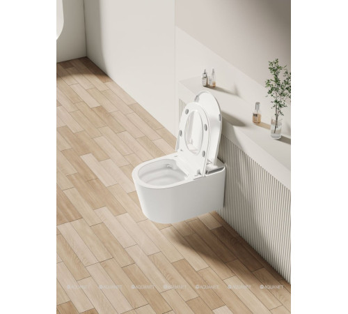 Унитаз электронный Allen Brau INTELLIGENT SMART подвесной с биде 588х375 мм 4.I1001.20