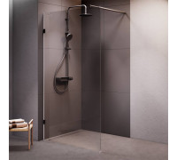 Душевая перегородка AM.PM Walk In 110х195 см W94UWI-110-F1-BTE