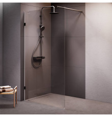 Душевая перегородка AM.PM Walk In 110х195 см W94UWI-110-F1-BTE