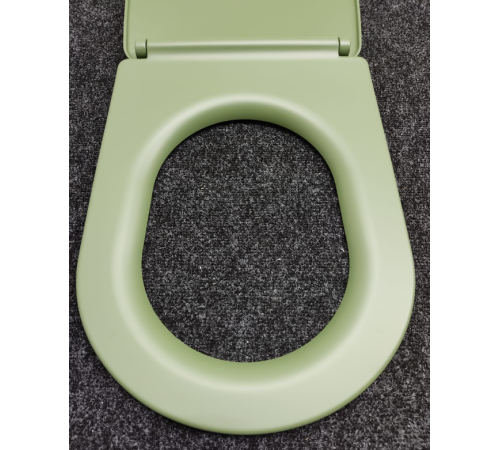 Сиденье для унитаза Kerasan Nolita SLIM быстросъемное Verde петли хром 539111