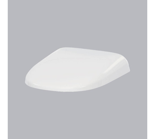 Сиденье для унитаза AM.PM Spirit с микролифтом быстросъемное дюропласт C307851WH