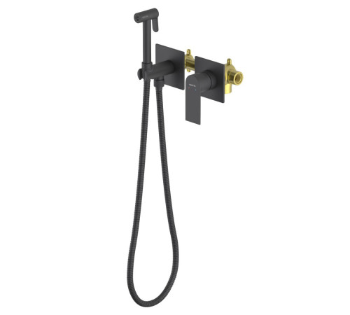 Комплект для гигиенического душа Aquanet Лира встроенный 2 отверстия матовый черный AQ1420MB