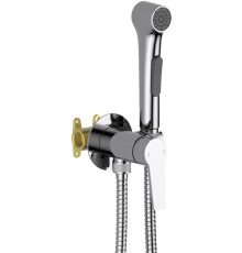Комплект для гигиенического душа Aquanet Лугано встроенный (смеситель + лейка + шланг) хром AQ1719CR