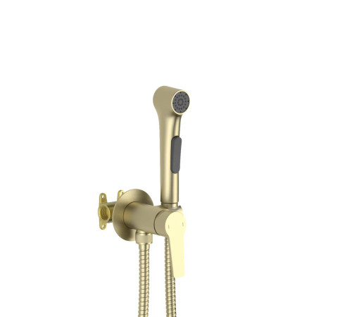 Комплект для гигиенического душа Aquanet Лугано встроенный (смеситель + лейка + шланг) шлифованное золото AQ1719BG