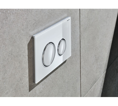 Смывная клавиша Geberit Omega20 для двойного смыва белый/глянцевый хром 115.085.KJ.1