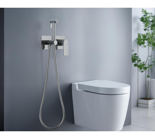 Комплект для гигиенического душа Aquanet Лира встроенный 2 отверстия хром AQ1420CR