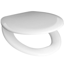 Сиденье с крышкой для унитаза Roca Mateo полипропилен ZRU9302815