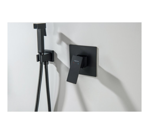 Набор с гигиеническим душем Aquanet Лира (смеситель, лейка, шланг, подсоединение) матовый черный AQ1419MB