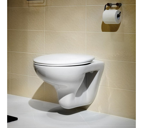 Унитаз подвесной Roca Mateo 346200000