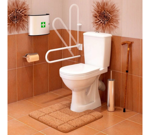 Унитаз-компакт Sanita Luxe Персона Стандарт с откидным поручнем нижний подвод косой выпуск 42301120012