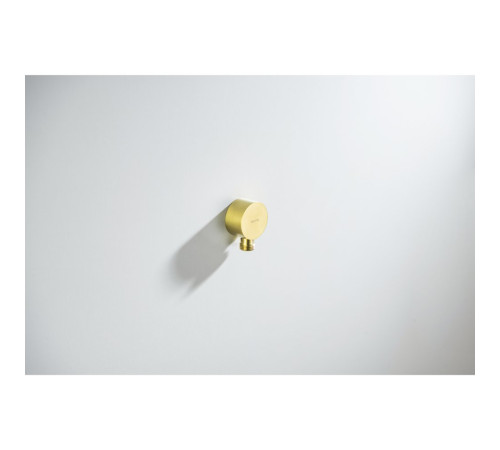 Шланговое подсоединение Aquatek шлифованное золото AQ2457BG