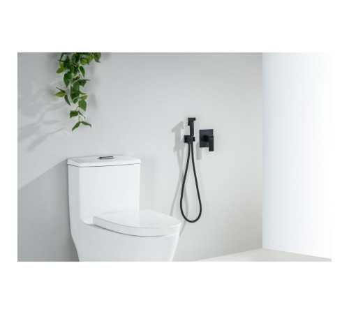 Набор с гигиеническим душем Aquanet Лира (смеситель, лейка, шланг, подсоединение) матовый черный AQ1419MB