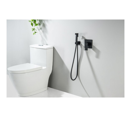 Набор с гигиеническим душем Aquanet Лира (смеситель, лейка, шланг, подсоединение) матовый черный AQ1419MB