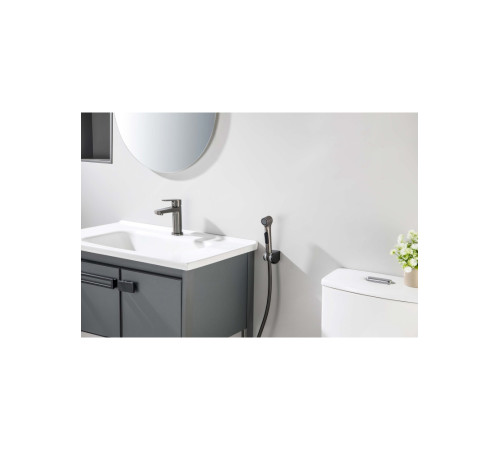 Смеситель для раковины Aquanet Лугано 106 мм с гигиеническим душем оружейная сталь AQ1712BGM