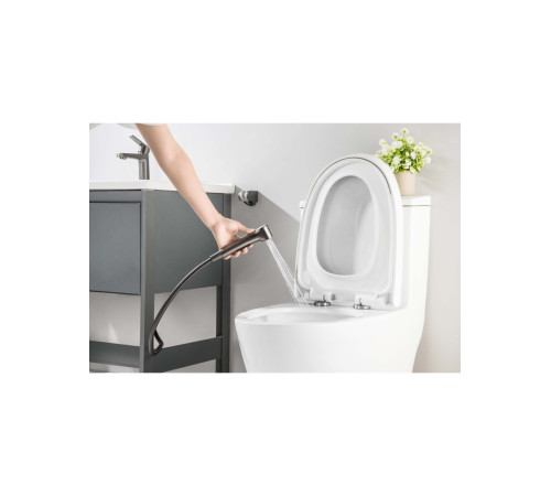 Смеситель для раковины Aquanet Лугано 106 мм с гигиеническим душем оружейная сталь AQ1712BGM