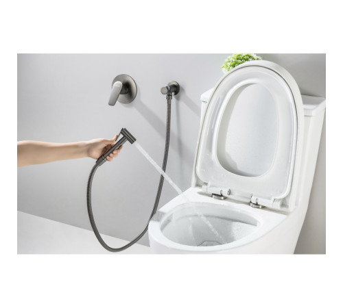 Набор с гигиеническим душем AQUATEK БЕТТА (смеситель + лейка + шланг) оружейная сталь AQ1119BGM
