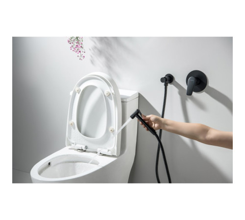 Набор с гигиеническим душем AQUATEK БЕТТА (смеситель + лейка + шланг) матовый черный AQ1119MB